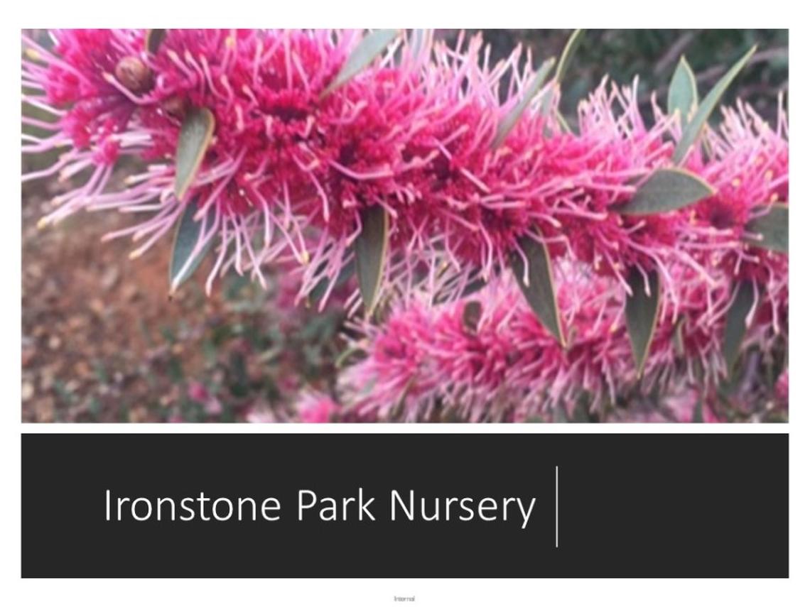 Ironstone Park Nursery