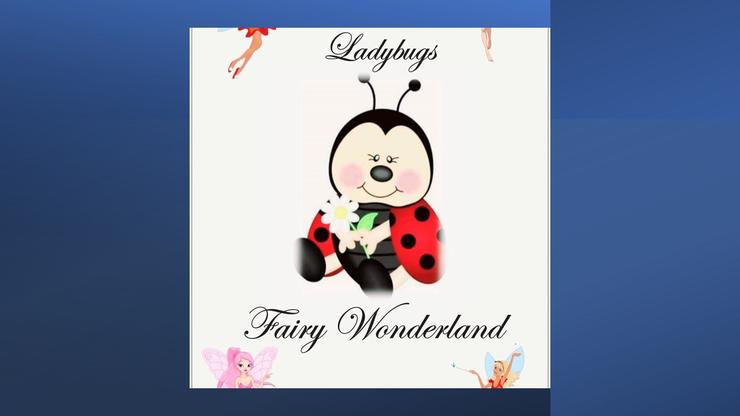 Ladybugs Fairy Wonderland